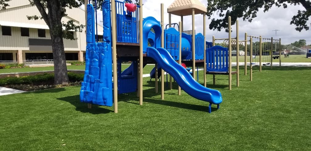 Commercial Turf